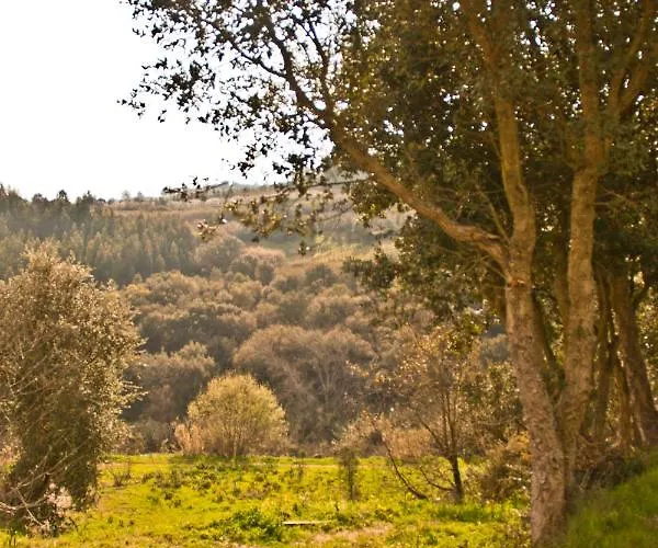 Da Colina Alojamento de Acomodação e Pequeno-almoço Bombarral