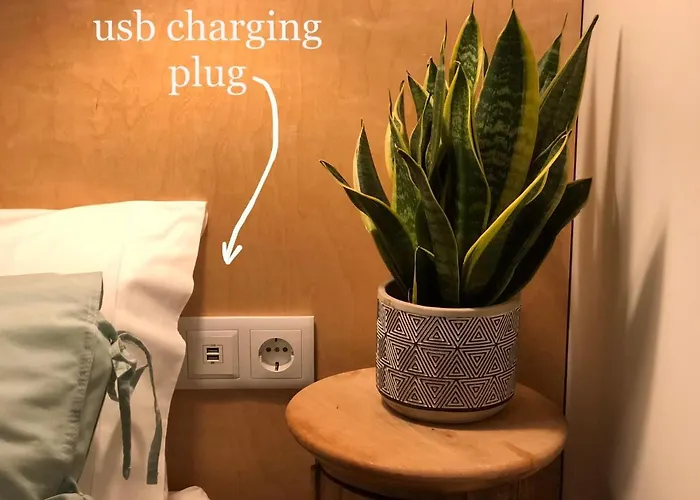 Alojamento de Acomodação e Pequeno-almoço Da Colina 3*